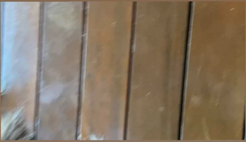 Vídeo Gabriela Muniz, Vila Velha ES - Seu neném nas horas vagas