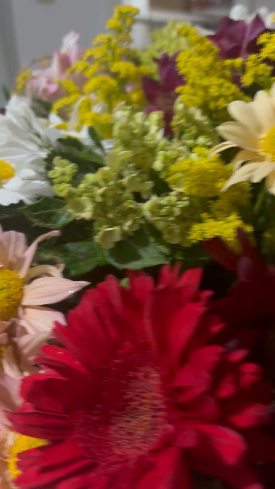 Vídeo Lauren Knoop, Vitória ES - Carioca, atendimento alto padrão - Clique para assistir