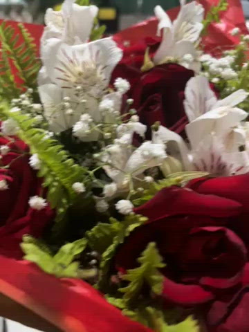 Vídeo Lauren Knoop, Vitória ES - Carioca, atendimento alto padrão - Clique para assistir