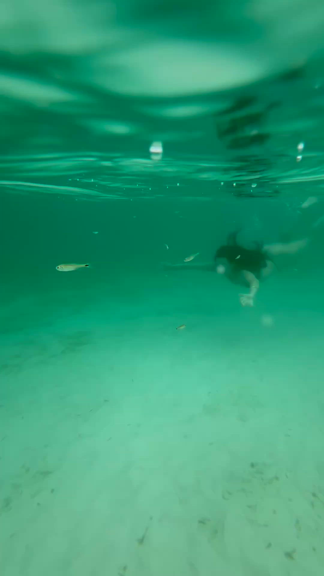 Vídeo Samanta Alves, Vitória ES - Em curta temporada na cidade - Clique para assistir